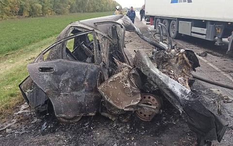 Два человека погибли в аварии с фурой у Александро-Невского района Два человека погибли в аварии с фурой у Александро-Невского района
